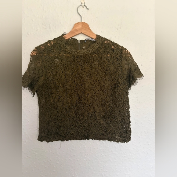Elegant Olive Lace Top - Picture 1 of 4